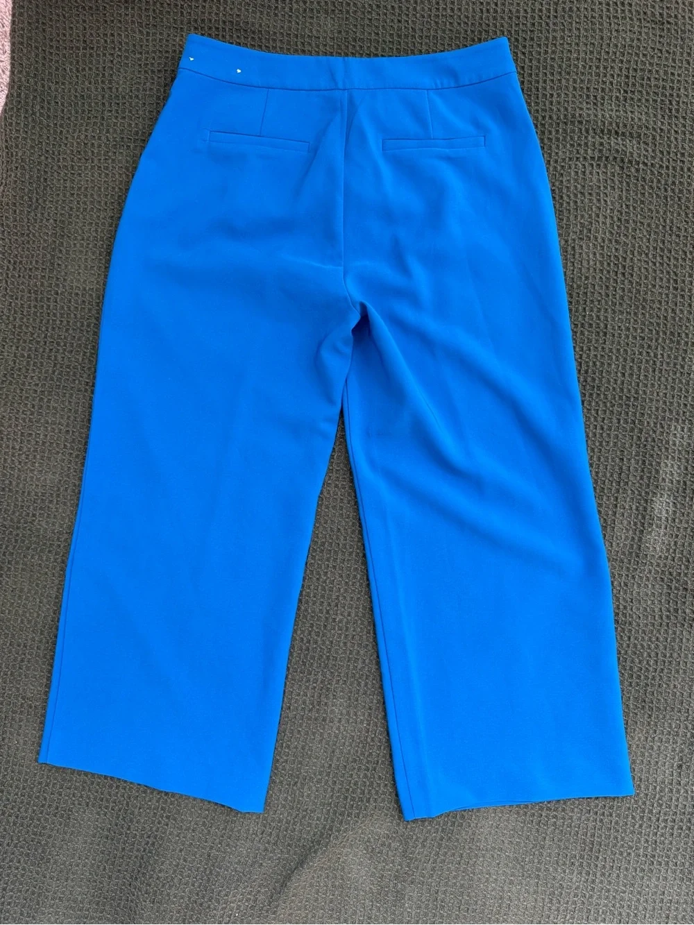 Michael Kors Cobalt Blue Cropped Pants